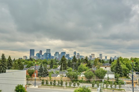 the skyline of the city with trees in the foreground and a road