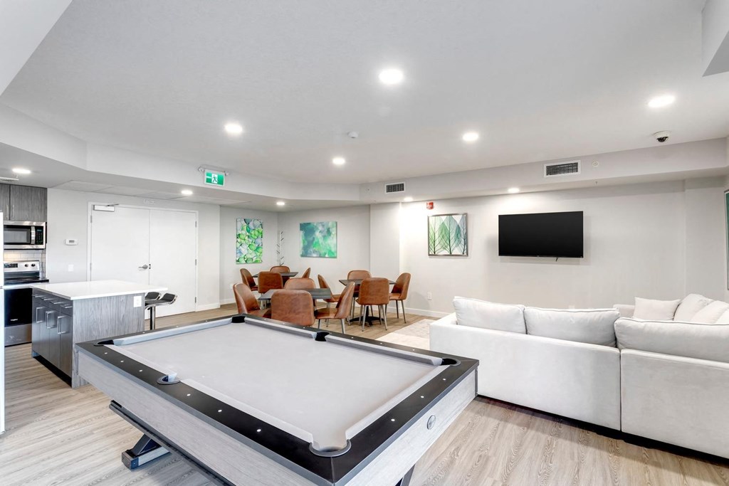 a game room with a pool table and a tv