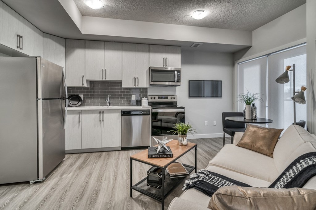 1 Bedroom Apartment Kitchen and Living Area