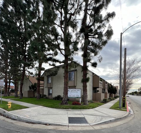A street view of a residential area with apartment buildings and trees.
