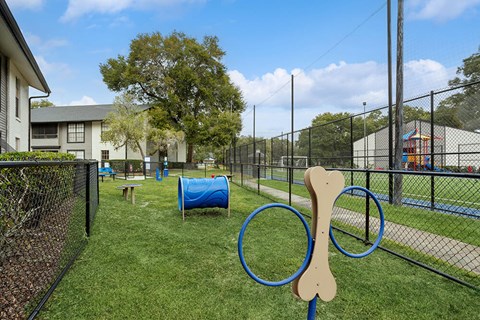 outdoor dog park
