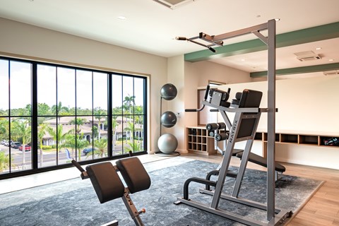 Fitness center with weight training machines and weight balls