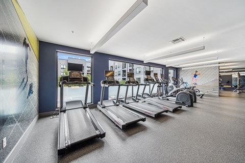 A gym with treadmills and exercise equipment.