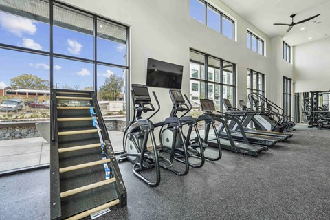 the gym is equipped with cardio equipment and treadmills