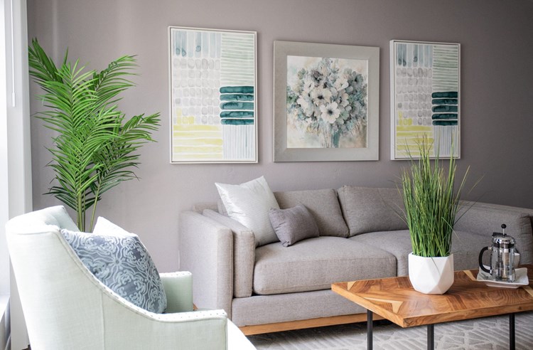 Palm Avenue Apartments