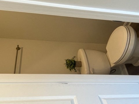 a bathroom with a toilet and a plant in it