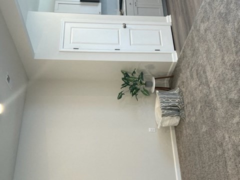 a bathroom with a white cabinet and a plant on the floor