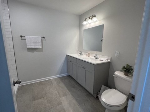 a bathroom with a sink toilet and a mirror