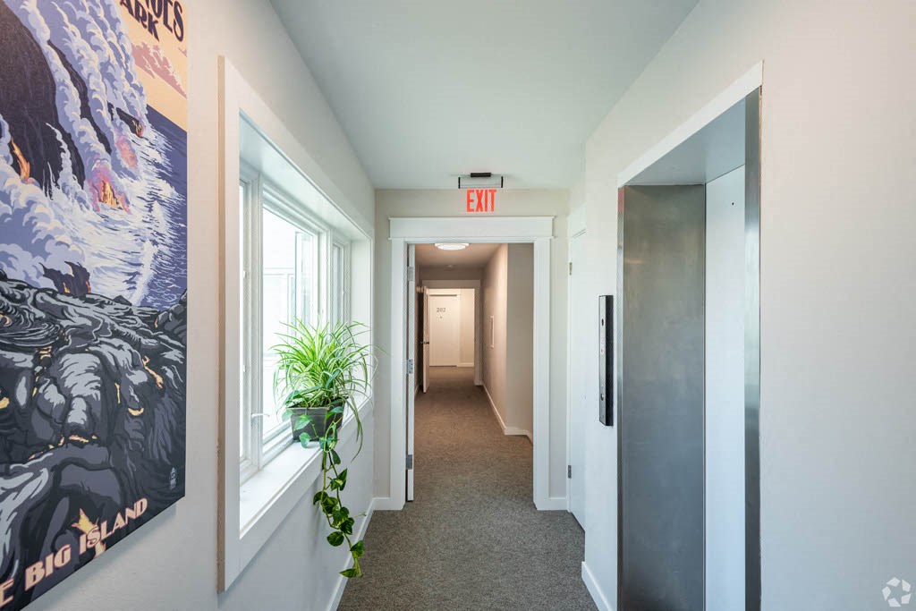a hallway with a window and a plant     and a exit sign