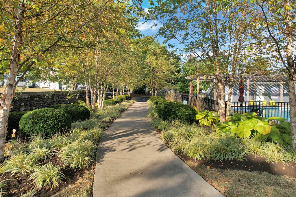 a path through a park with trees and plants
