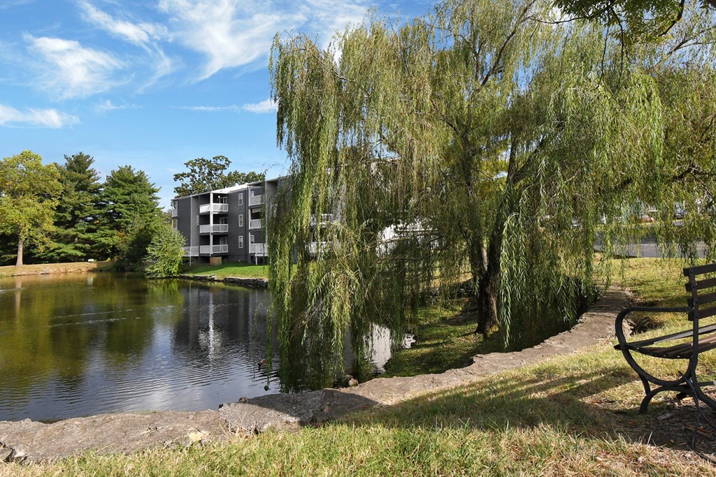 a weeping willow tree next to a pond with a bench