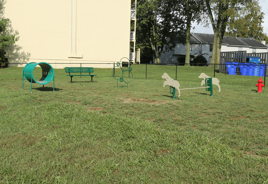 a park with a playground and a fire hydrant