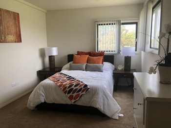 100 Cedar Ridge Lane 1-3 Beds Apartment for Rent - Photo Gallery 3