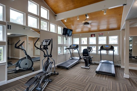 A gym with treadmills, elliptical machines, and a stationary bike.