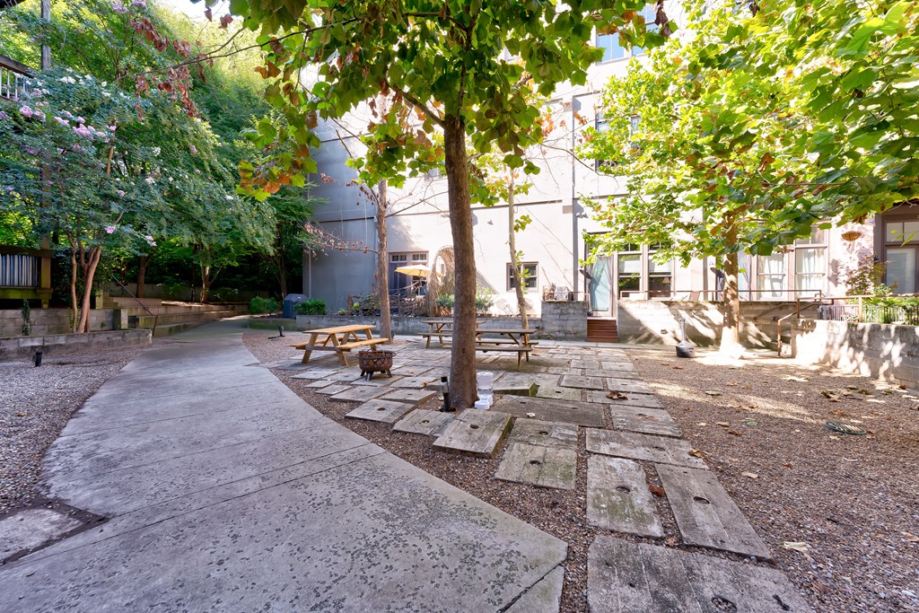 A park with a paved walkway and benches.