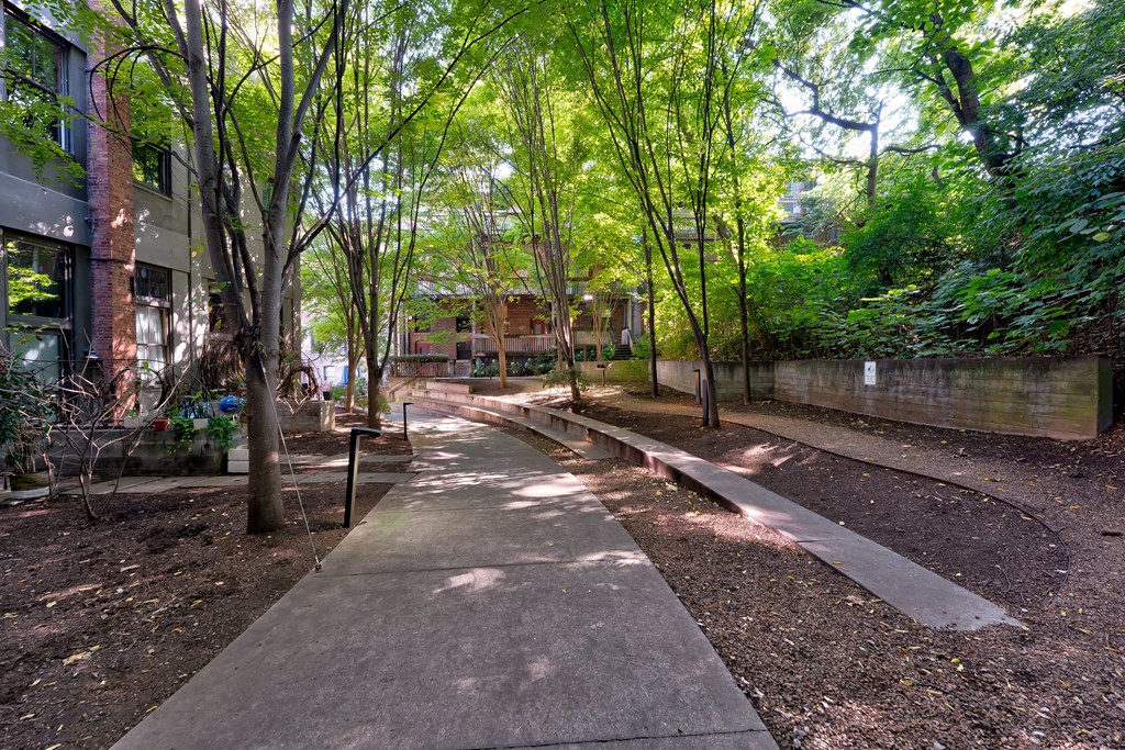 A pathway in a park with trees on both sides.