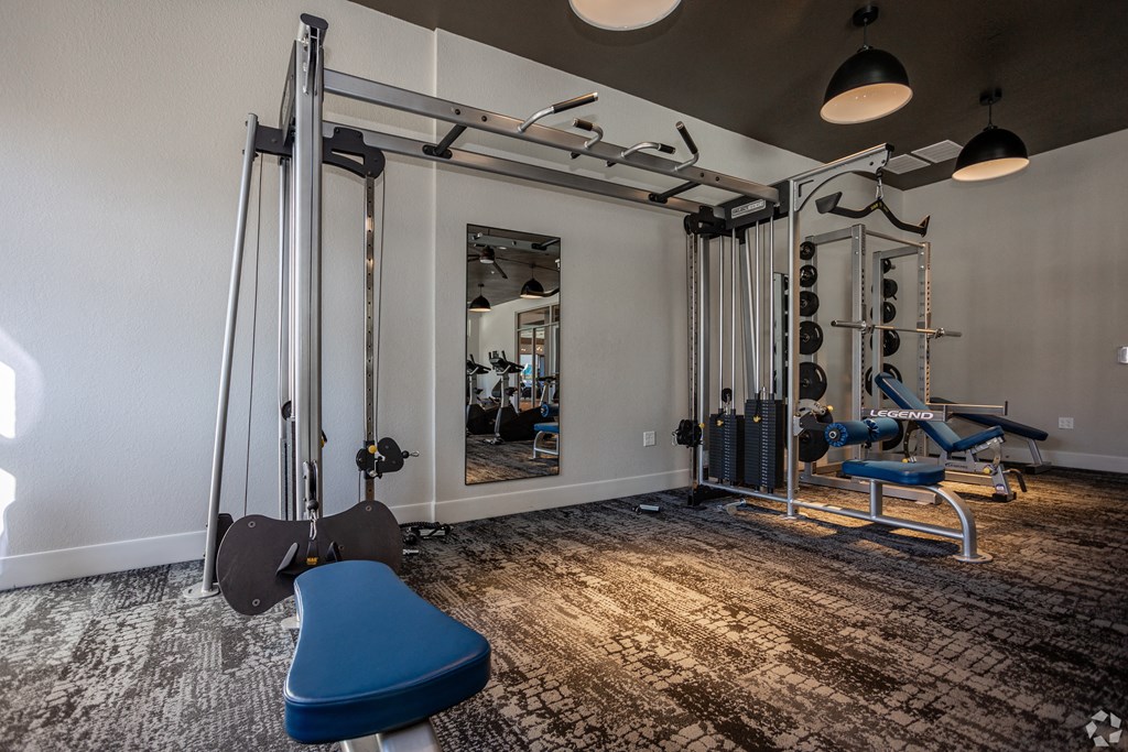 A home gym with a blue bench, a mirror, and various exercise equipment.