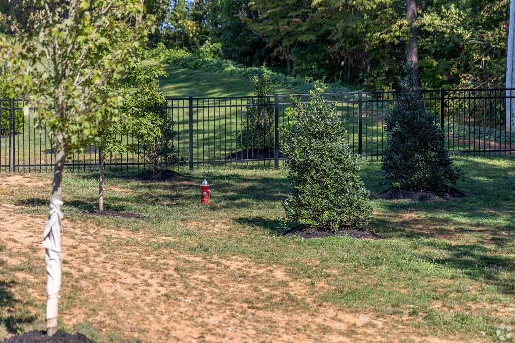 A small tree is planted in a grassy area.