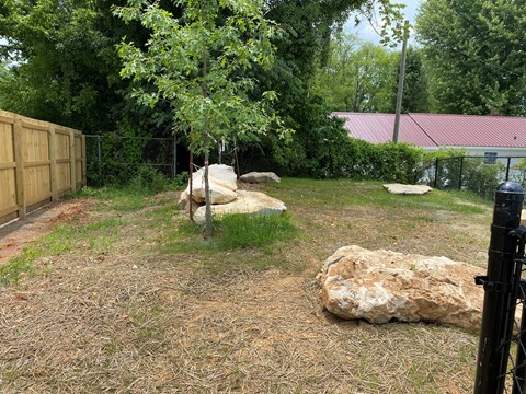 a backyard with rocks and a tree and a fence