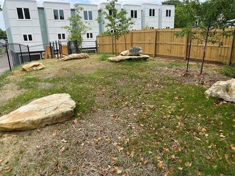 a yard with rocks and trees and a fence