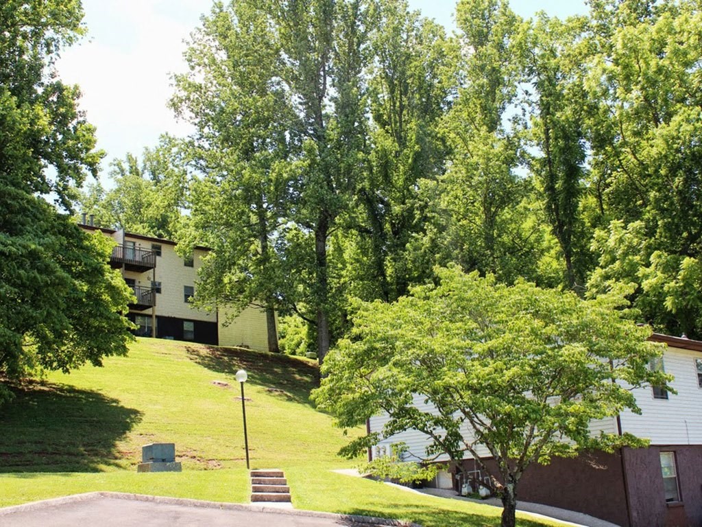 a house on a hill with a lawn and trees