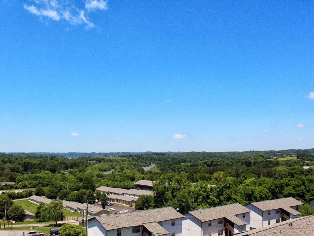 the view of the neighborhood from the roof of a building