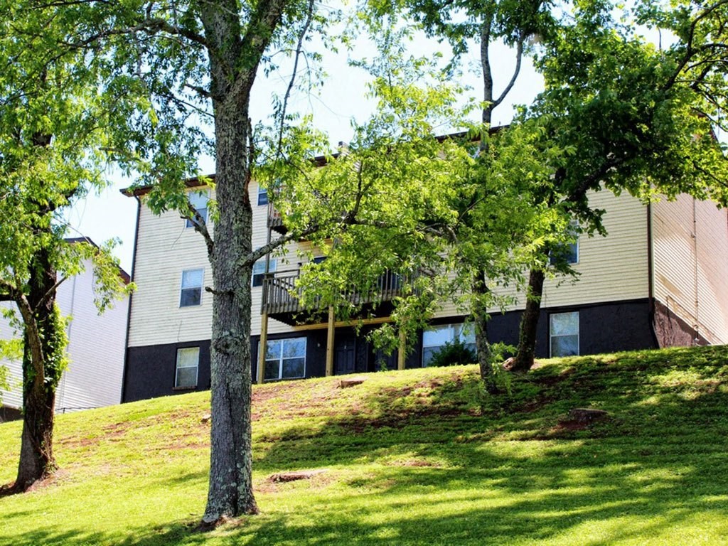 the back of a house on a hill with trees