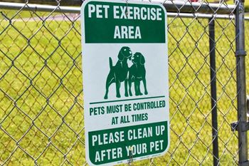 Play Area and Dog Park!