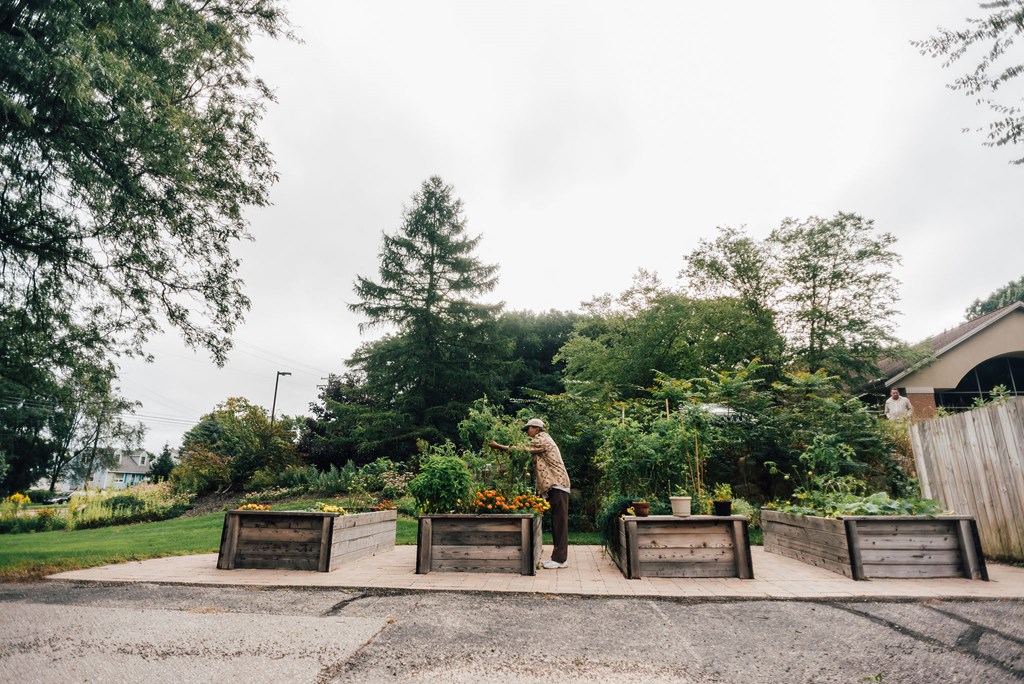 community garden on housing grounds