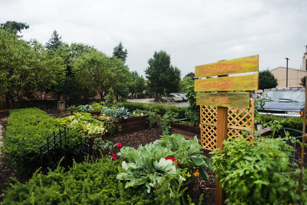 community garden with lattice