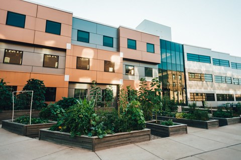 modern black and orange cubed building with community garden