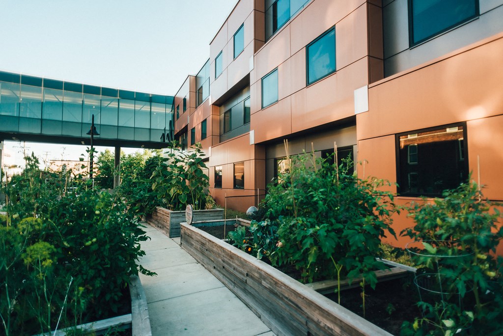 modern cubed building with walkway bridge and community garden