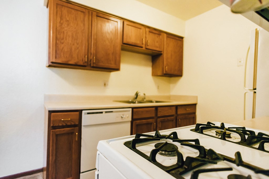 Apartment galley kitchen
