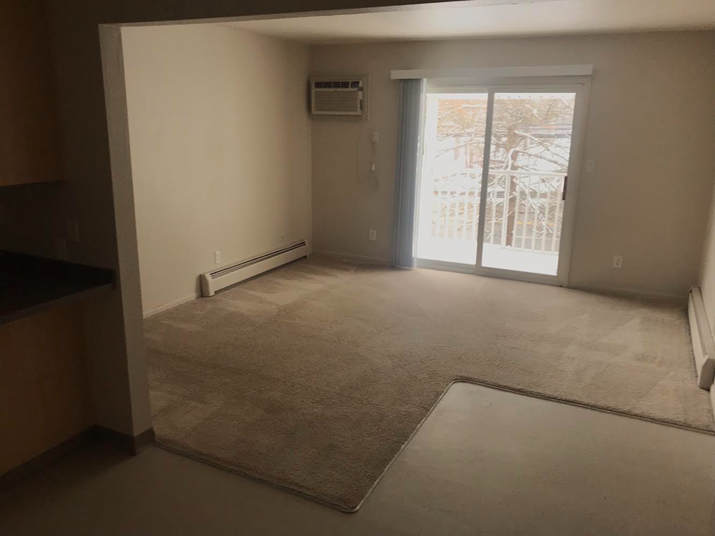 living room area with carpeting