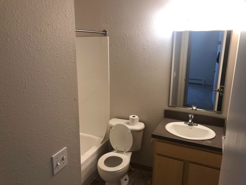 bathroom with single vanity