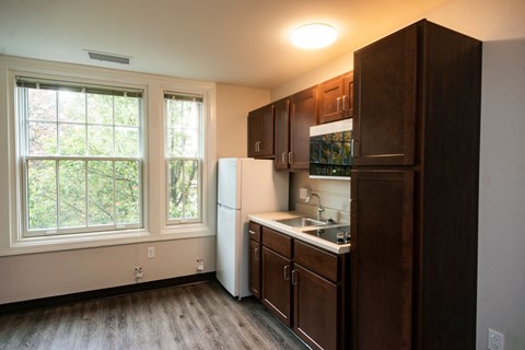 apartment kitchen with LVP flooring