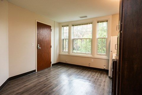 apartment with windows and LVP