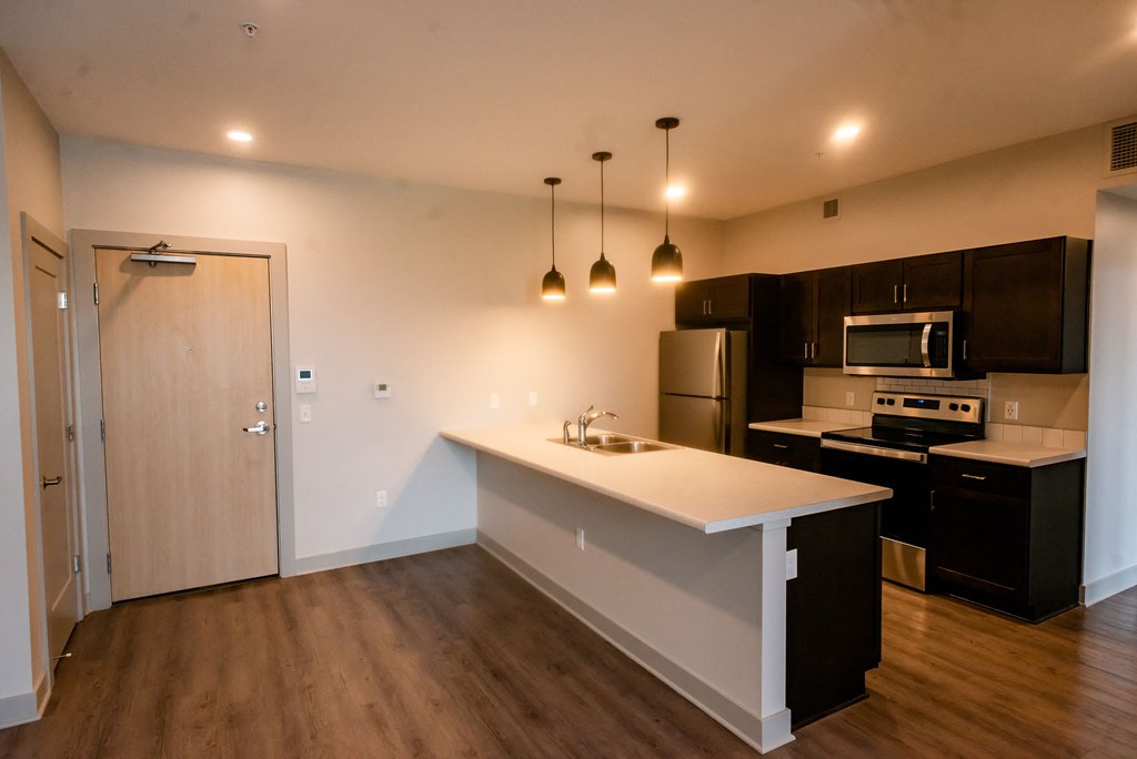 modern kitchen in apartment with dark cabinets and light counters