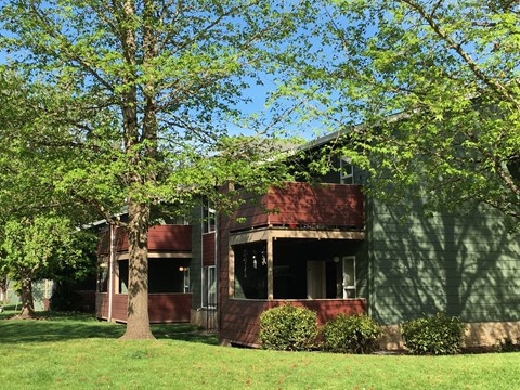 A tree in front of a building with a red roof.