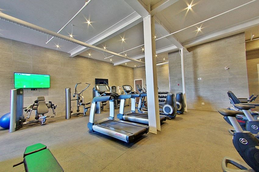 the gym has plenty of cardio equipment and a television