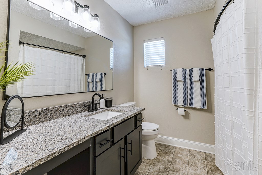 a bathroom with a toilet and a sink and a mirror