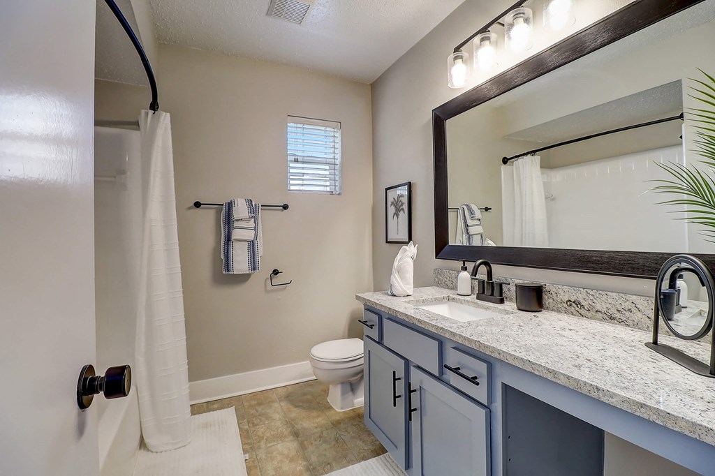 a bathroom with a toilet and a sink and a mirror