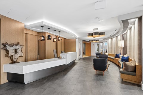 A modern waiting room with a long white bench and a cow skull on the wall.
