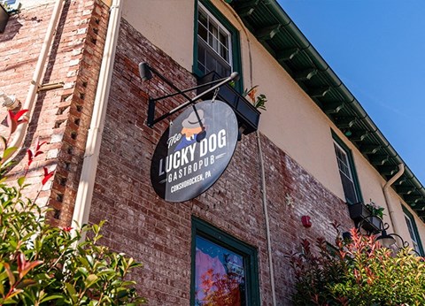 a brick building with a lucky dogs sign on the side of it