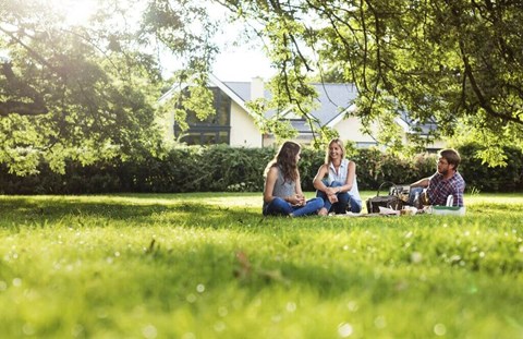 a group of people sitting on top of a lush green field
