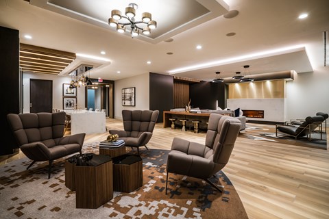 A living room with brown and black furniture and a patterned rug.