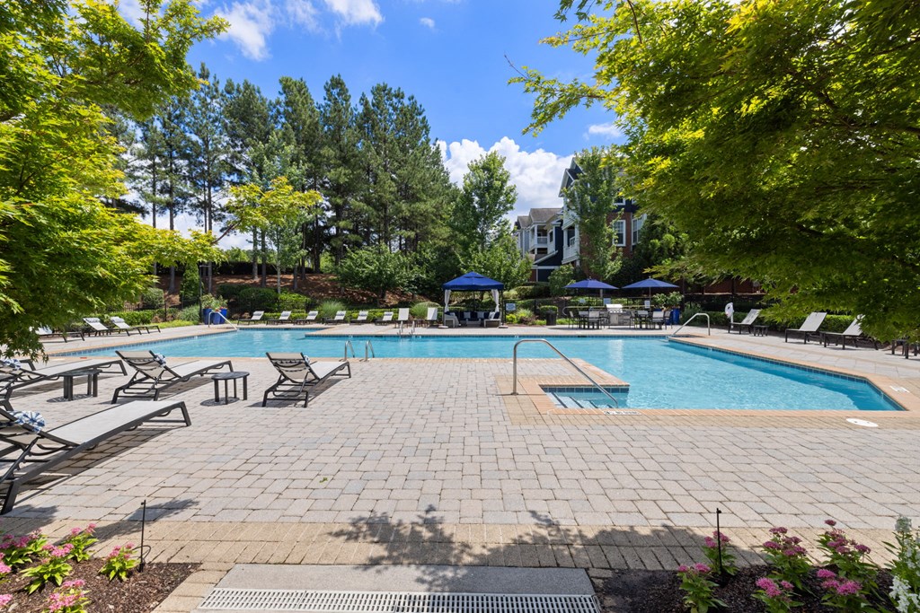 a swimming pool with lounge chairs and trees surrounding at Tradition at Stonewater, Cary