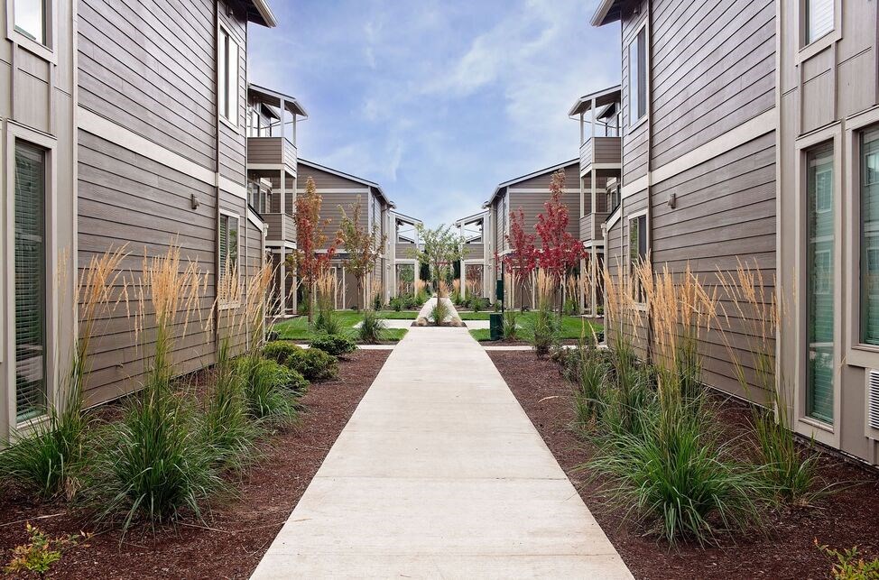 a pathway lined with plants in front of a row of buildings