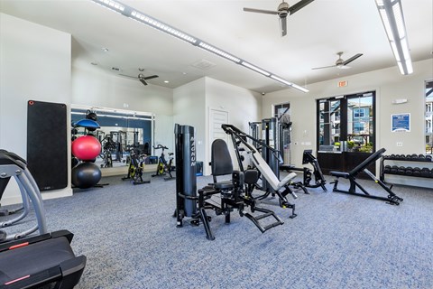 A gym with a variety of equipment including weights and cardio machines.