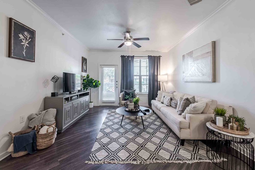 A living room with a couch, a coffee table, and a television.